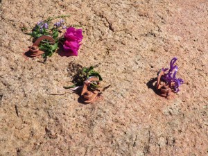 Mission Beach - Tounsville-018